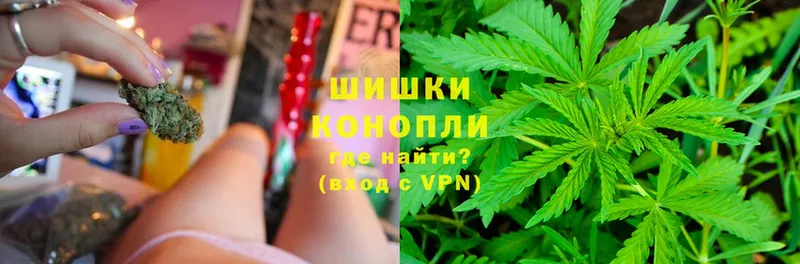 Марихуана White Widow  Межгорье 